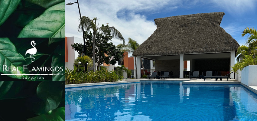 Precio:4750000 <br>REAL FLAMINGOS - BUCERIAS

PREVENTA de CASAS en COTO PRIVADO con ALBERCA

FASE 2

Real Flamingos es una privada justo detras de La Comer dentro de la zona de Flamingos Sport Residencial.&nbsp;

Cuanta con 2 Modelos disponibles.

Modelo Vento


	3 recamaras
	3 Ba&ntilde;os
	Cocina Integral
	144.5 M2
	2 Espacios para Coche
	Cicterna 2,500 litros
	Calentador de Agua
	Tanque Estacionario


Modelo Terra


	3 recamaras
	3 Ba&ntilde;os
	Estudio en Planta Alta
	Cocina Integral
	162 M2
	2 Espacios para Coche
	Cicterna 2,500 litros
	Calentador de Agua
	Tanque Estacionar