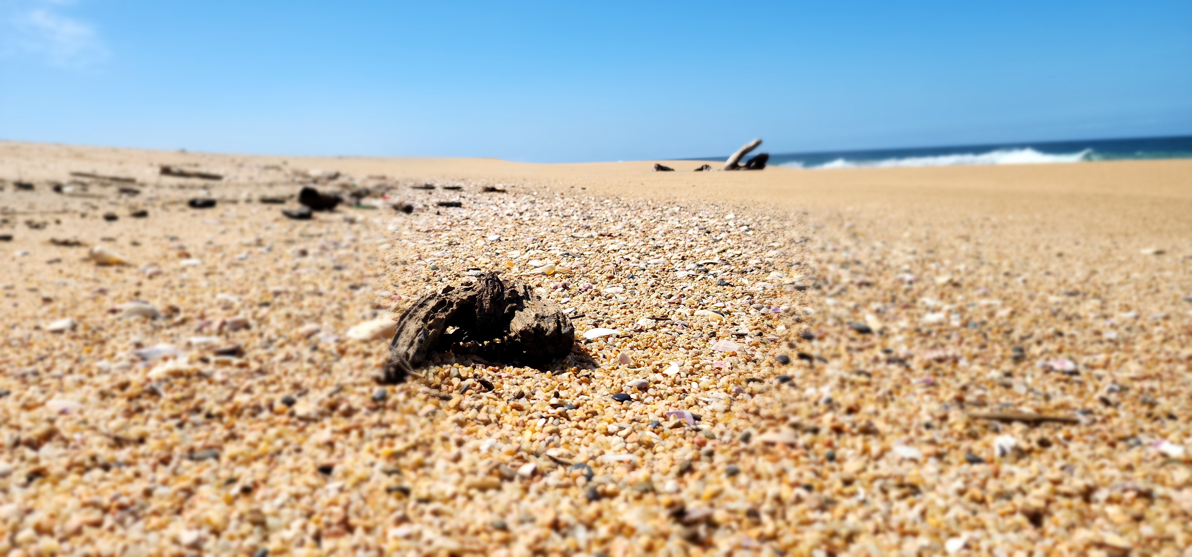 Precio:1950000 <br>"Terrenos EcoTuristicos, Jalisco"

Terrenos en Venta, Frente a Playa.

Ofrecemos Terrenos EcoTuristicos, con o sin servicio de luz electrica, momento 0 de Inversi&oacute;n, zona tipo TULUM, construye tu propia casa frente a playa, con paneles solares y tu propio pozo de agua.

Terrenos "El Realito"

Terrenos de 1 Hectarea Frente a Playa, conocida como Playa "La Boquita".

8 a 9 metros de frente a playa y un &aacute;rea plana de mas de 500 m2 al frente y el resto con altura sobre una loma de tierra.

Ideal para desarrollar o tener tu casa frente al mar 