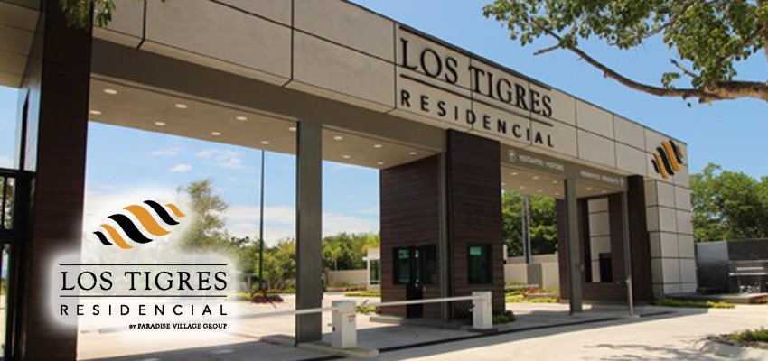 BENGALA Los Tigres | Riviera Nayarit - Nayarit