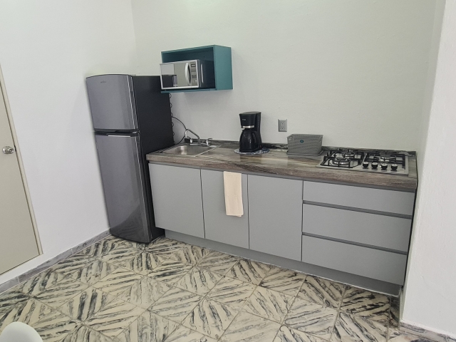 Estudio San Salvador  | 5 de diciembre - Puerto Vallarta - jalisco