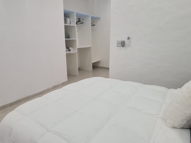 Estudio San Salvador  | 5 de diciembre - Puerto Vallarta - jalisco