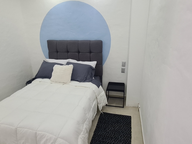 Estudio San Salvador  | 5 de diciembre - Puerto Vallarta - jalisco