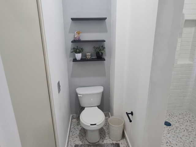Estudio San Salvador  | 5 de diciembre - Puerto Vallarta - jalisco