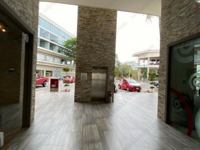 Local Parota 10 | Las Gaviotas - Puerto Vallarta - Jalisco
