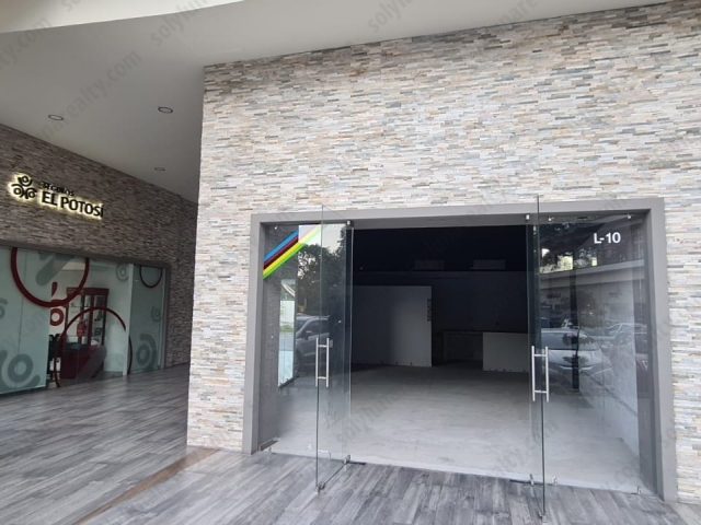 Local Parota 10 | Las Gaviotas - Puerto Vallarta - Jalisco