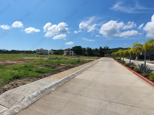 Lote Agave Azul 190 | Agave Azul - Bahia de Banderas - Nayarit