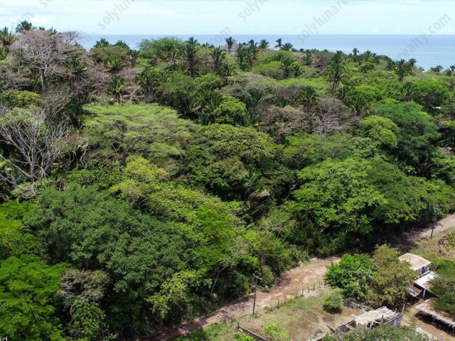 Terreno Frente Playa Platanitos | San Blas - Bahia de Banderas - Nayarit