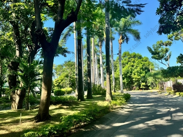 Casa Las moras  | Las moras - Puerto Vallarta - Jalisco