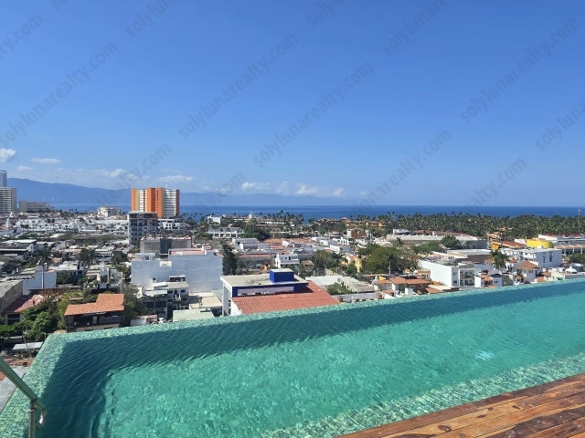 Rosa Morada A2 | Versalles - Puerto Vallarta - jalisco